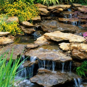 Особенности оформления дома и участка по фен-шуй. Фото примеров