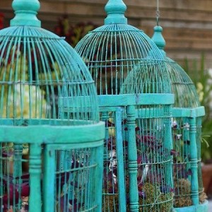 Клумбы и цветники, оформленные своими руками из подручных материалов (40 фото)