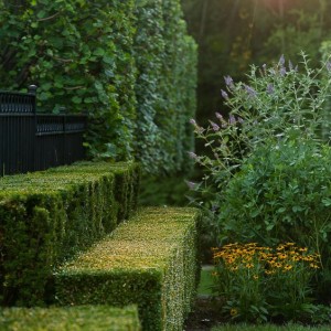 Из чего сделать красивый забор для палисадника своими руками (фото)