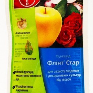Как уберечь цветы на клумбе от заражения мучнистой росой