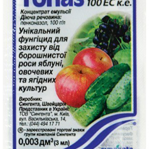 Как уберечь цветы на клумбе от заражения мучнистой росой