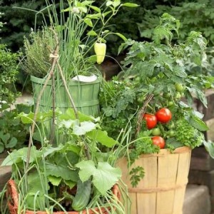 Ландшафтный дизайн с грядками на дачном участке