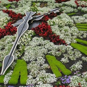 Хотите удивить соседей? Сделайте часы-клумбу своими руками!